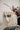 Tote Bag Mockup 006